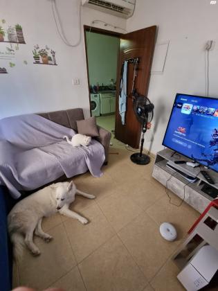 כיכר הקניזי 8 (שכונה ד)