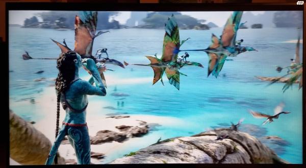 טלוויזיה של PIlot גודל 65