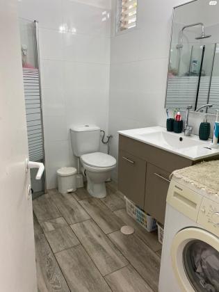 משה פריד 37 (אפריים;סלע)