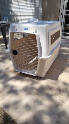 כלוב הטסה פטמייט ג'יאנט (GIANT)מידות