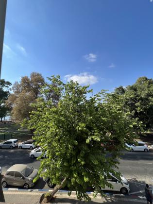 אוסישקין 90 (הצפון הישן החלק הצפוני)