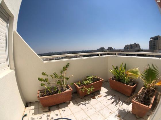 אליהו חכים (רמת אביב ג)