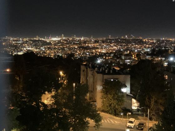 מבוא הדודאים 3 (גילה)