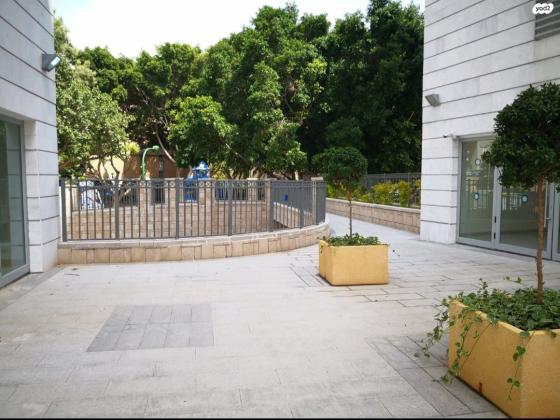 הסנה 16 (אפרידר)