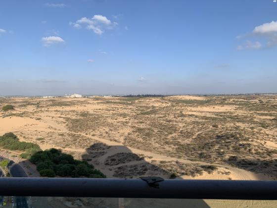 אשכולית 1 (רובע טז)