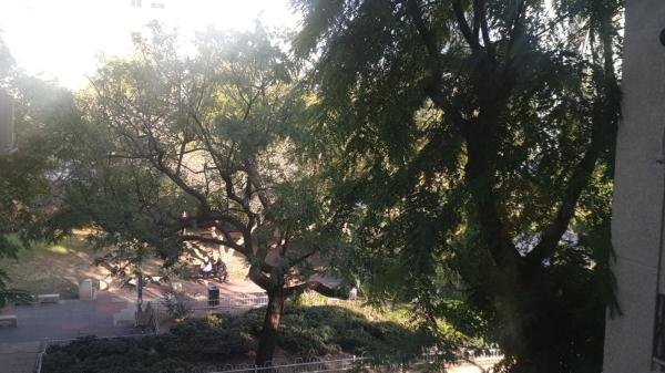 בראלי 6 (תוכנית ל)