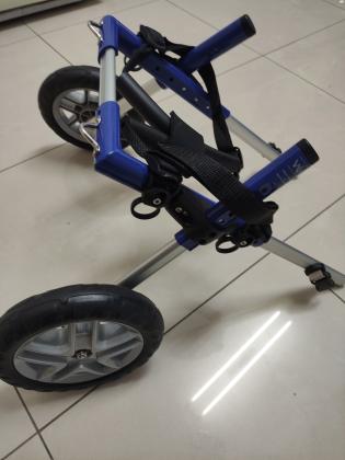 כיסא גלגלים לכלב/ה נכה, מתאים