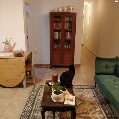 פלורנטין 48 (פלורנטין)