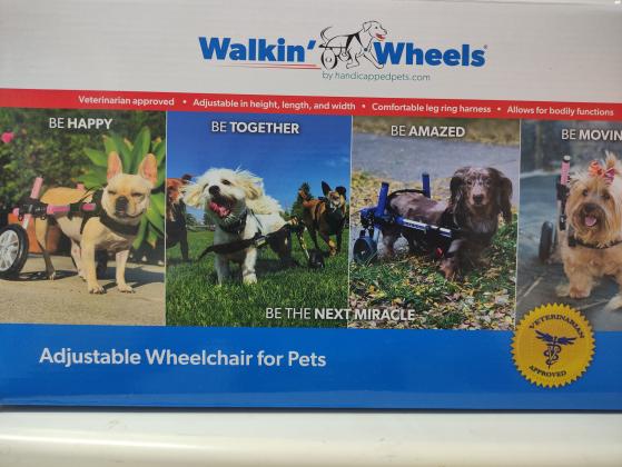 כיסא גלגלים לכלב/ה נכה, מתאים