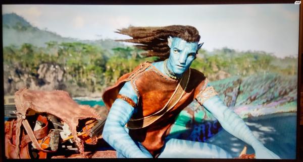 טלוויזיה של PIlot גודל 65