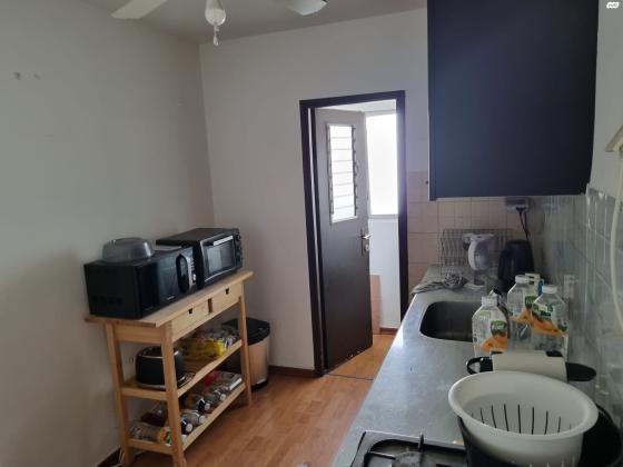 הרב גביזון 3 (לבנה)