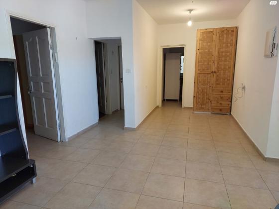 הרותם 66 (צמח השדה)