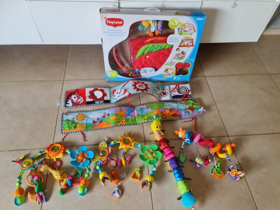 אוניברסיטה של טייני לאב tiny