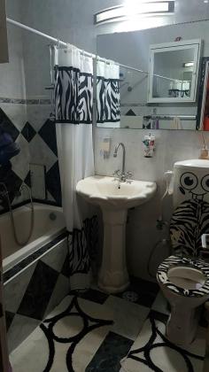 סתוונית 1 (גבעת המורה)