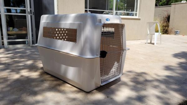 כלוב הטסה פטמייט ג'יאנט (GIANT)מידות