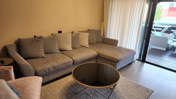 סלון אפור בהיר עם ר'נקנה