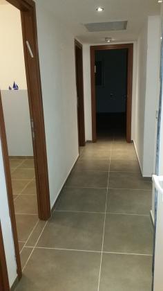 הנבל 7 (שמשון;שלמה;ביאליק)