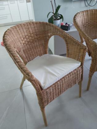 כורסאות קש מאיקאה, כחדשות