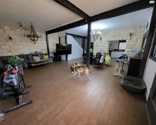 אביר מרק 17 (קרית חיים מערבית)