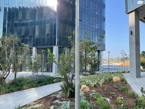 פרופ' אברהם פצ'ורניק