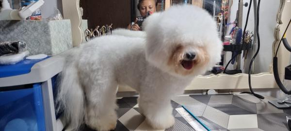 מבת גידול self beauty בני