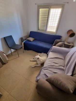 כיכר הקניזי 8 (שכונה ד)