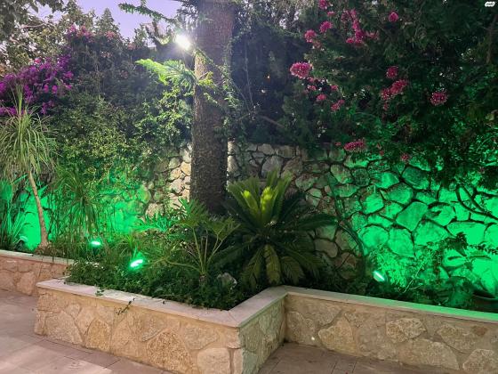 ד"ר אליהו אורבך 8 (סביוני הכרמל)