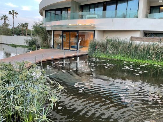 יוניצמן 2 (חוף הצוק)