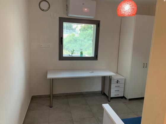 אריה לובה אליאב 20 (זיו)