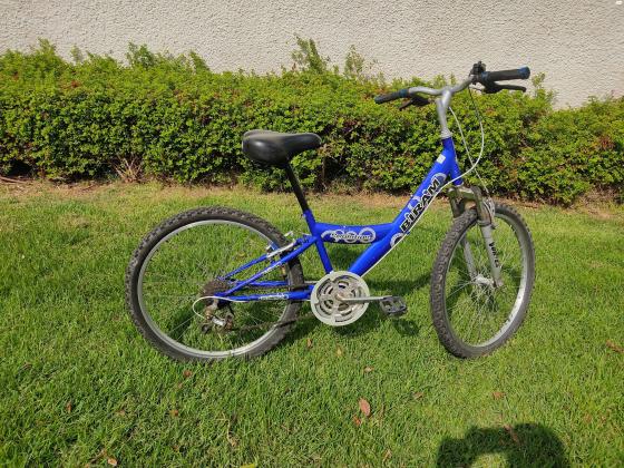 אופניים חברת BIRAM (בין החברות