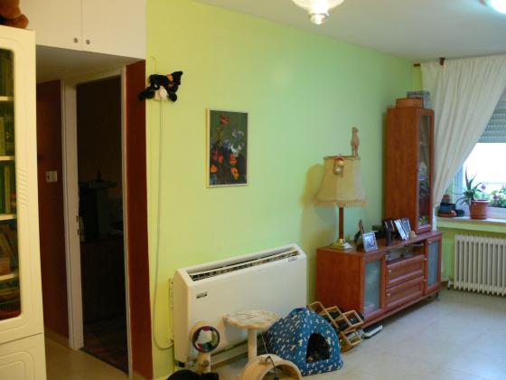 קוסטה ריקה 27 (גבעת משואה)