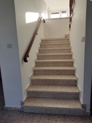 אשל 8 (לוד הצעירה)