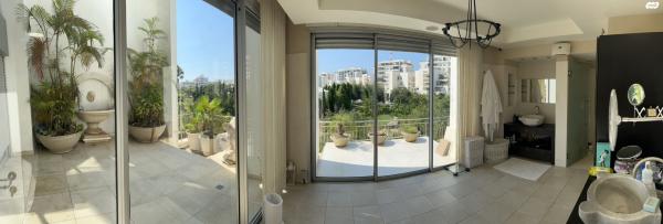 אלכסנדר סשה ארגוב 31 (המשתלה)