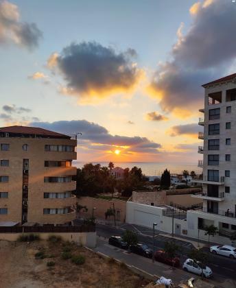 יהודה הימית 40 (נמל יפו)