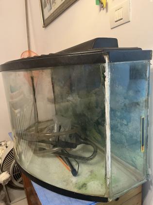 אקווריום פנורמי באורך מטר, כולל