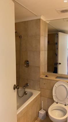 דוד אלעזר 10