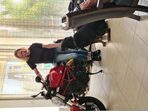 דוקאטי מונסטר 797 (2017)