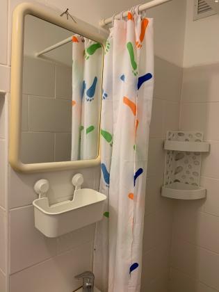 אריה לובה אליאב 20 (זיו)