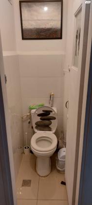 חנה סנש 43 (רמת הדר)