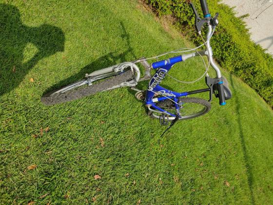 אופניים חברת BIRAM (בין החברות