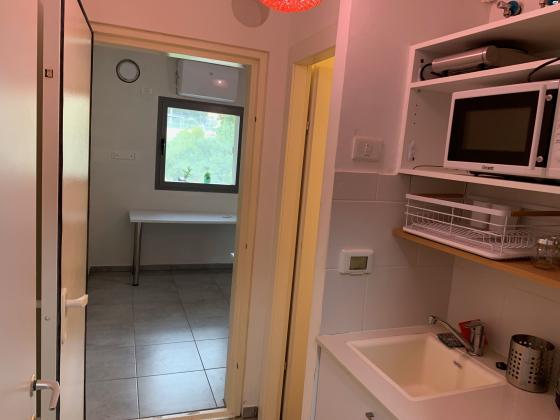 אריה לובה אליאב 20 (זיו)