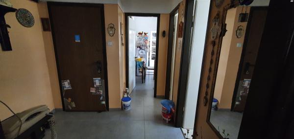 זבולון 2 (הדר הכרמל)