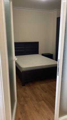 דוד אלעזר 10