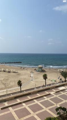 דוד אלעזר 10