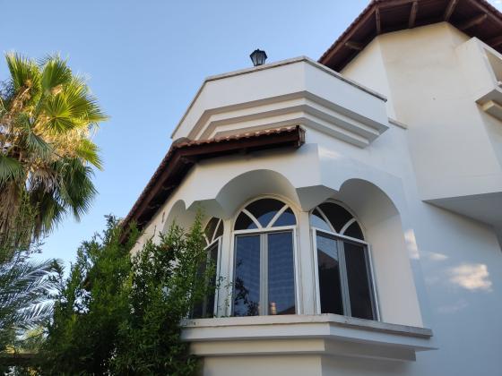 אשל 8 (לוד הצעירה)