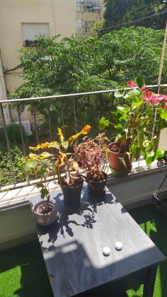 העמל 4 (נחלת גנים)