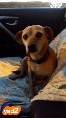 בסכנת מוות! בוכה ורועד בלי