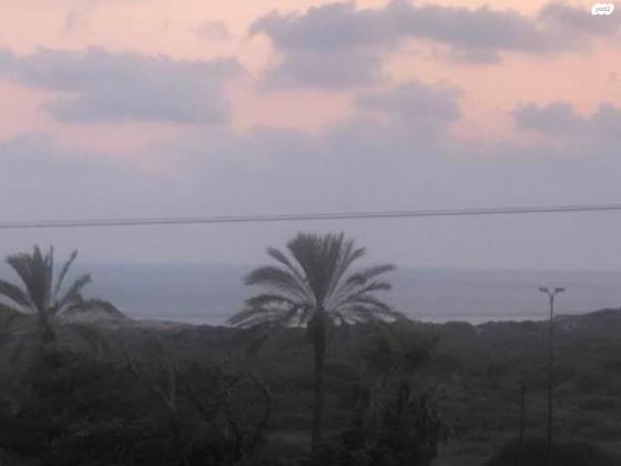 אירוס הארגמן 18 (גבעת האירוסים)