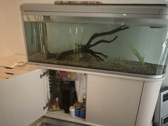 למסירה אקווריום גדול (מטר וחצי)