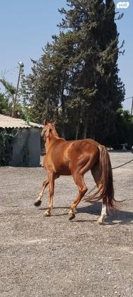 למכירה עקב יציאה מהתחום